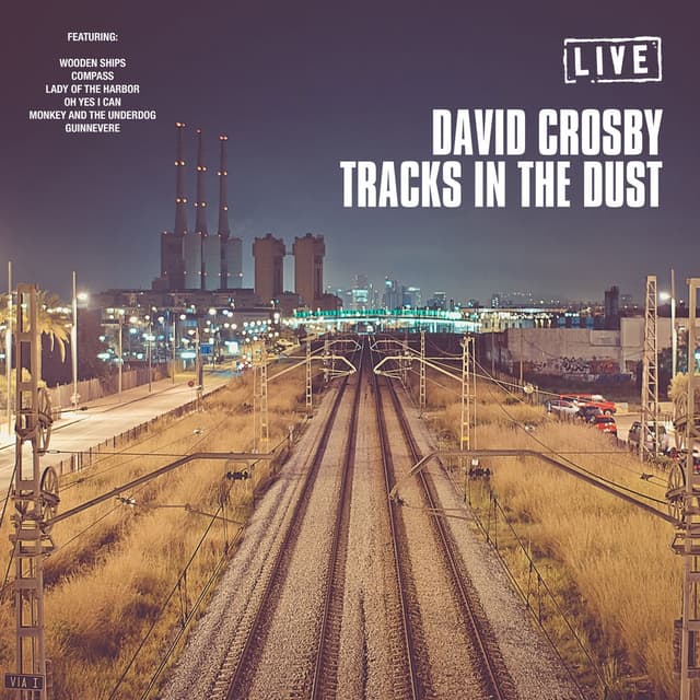 Tracks In The Dust (Live) cover