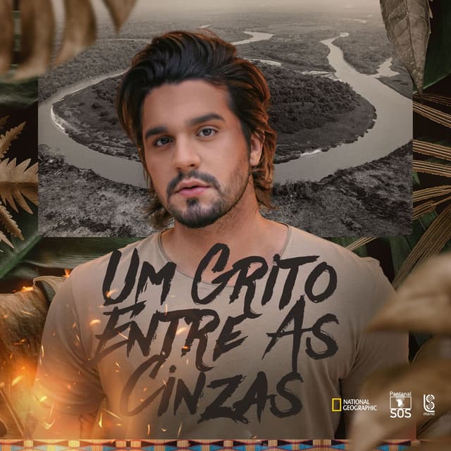 Um Grito Entre As Cinzas cover