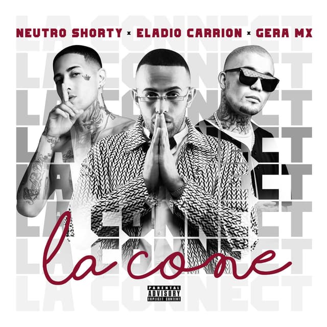 La cone cover