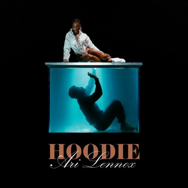 Hoodie cover