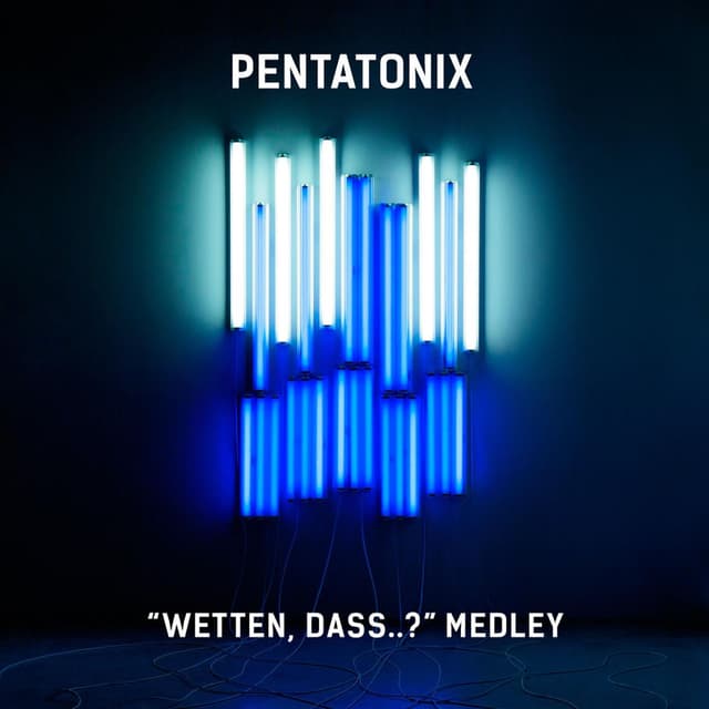 "Wetten, dass..?" Medley cover
