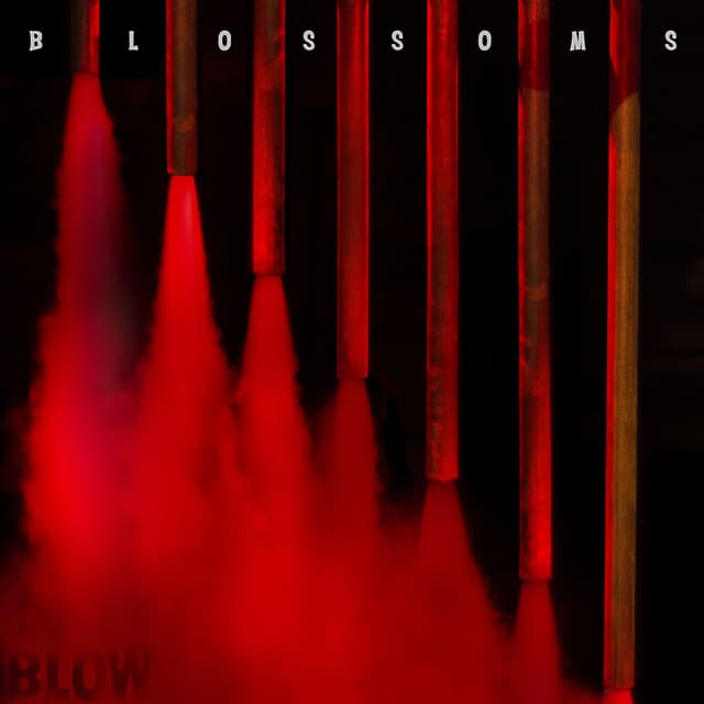 Blow cover