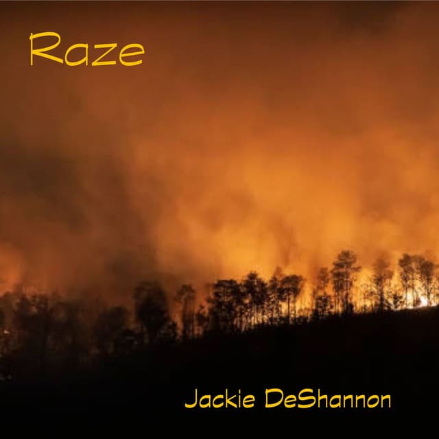 Raze cover