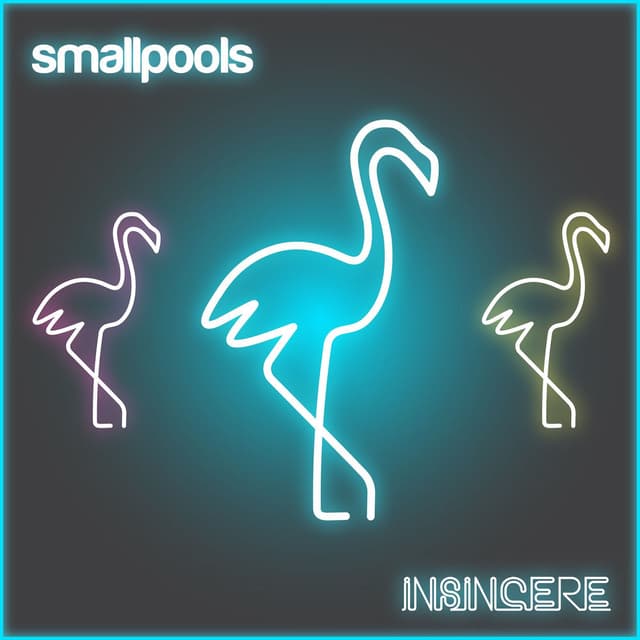 Insincere cover