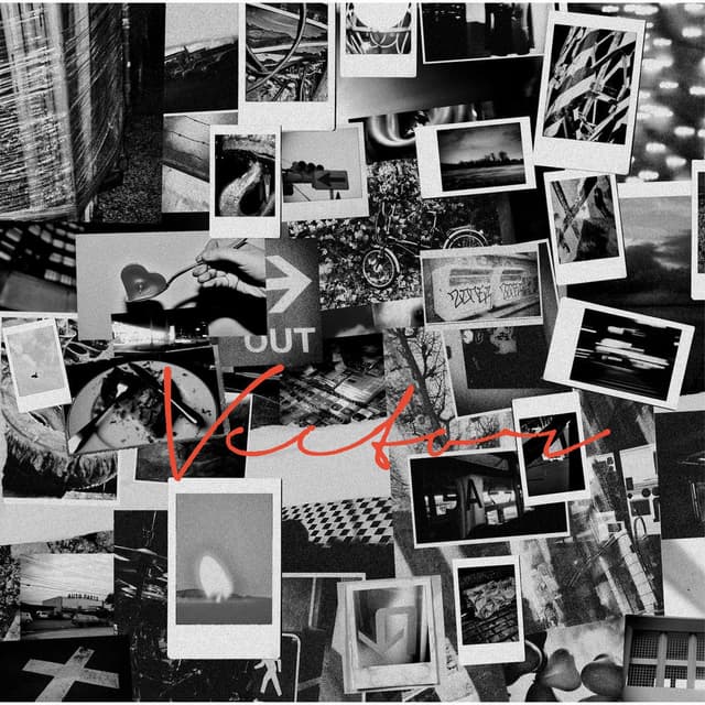 VECTOR album cover
