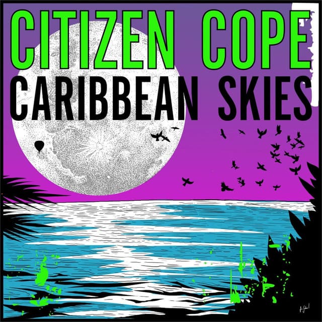 Caribbean Skies cover