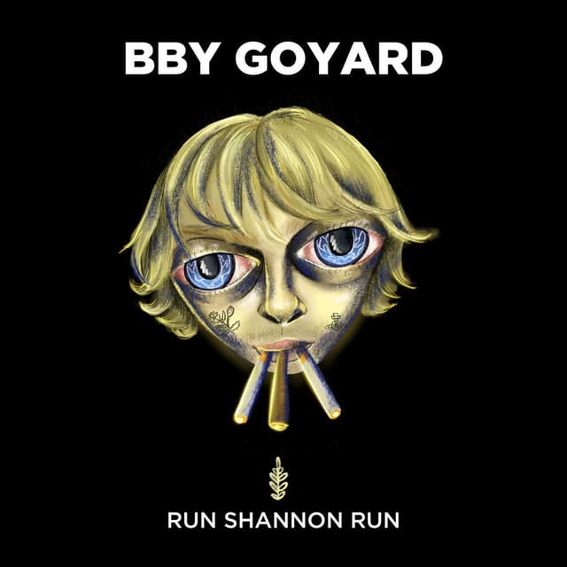 Run Shannon Run cover