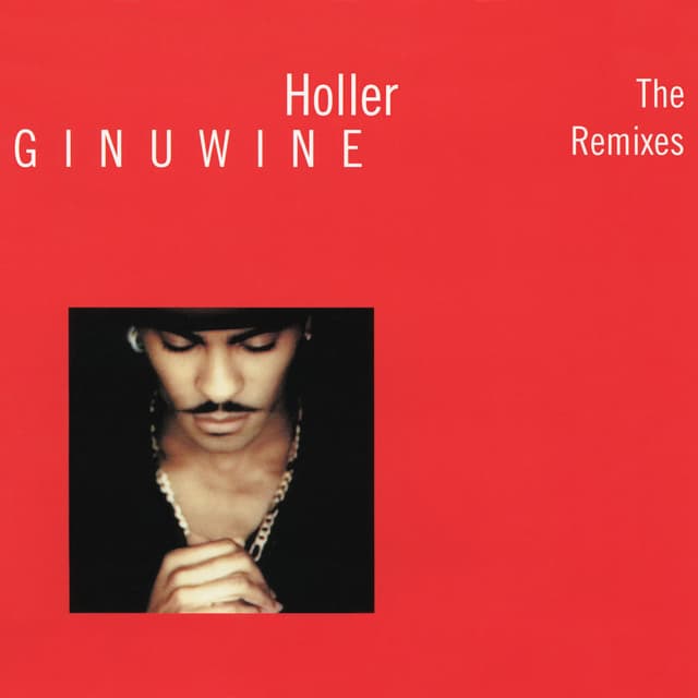 Holler - The Remixes cover