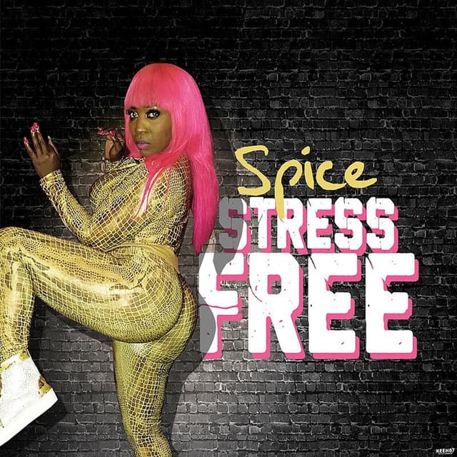 Stress Free cover