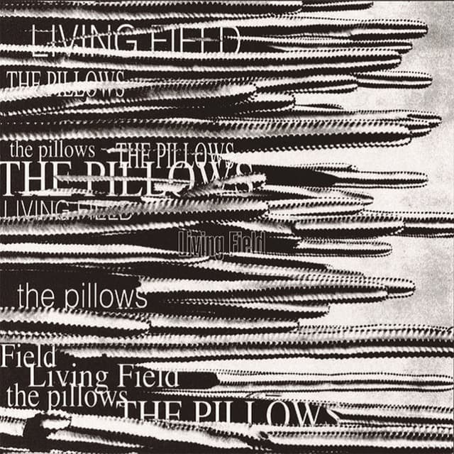 LIVING FIELD cover