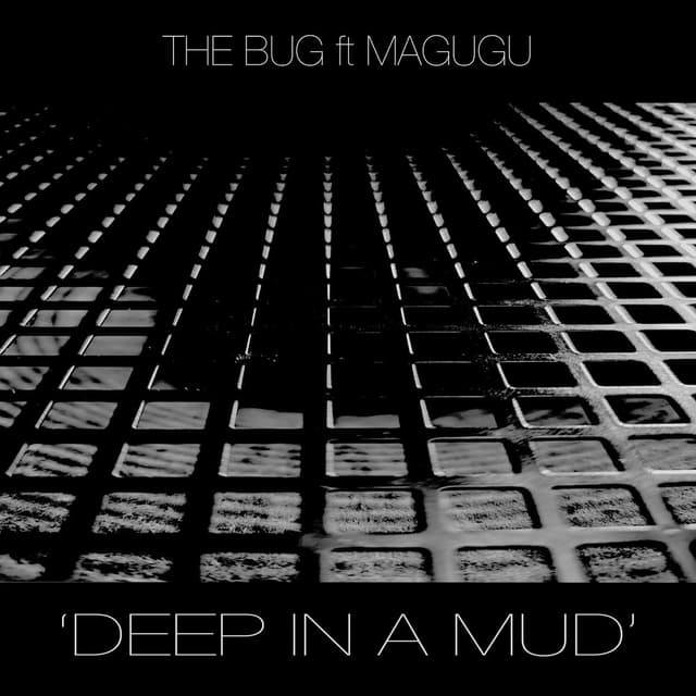 Deep in a Mud cover