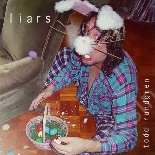 Liars cover