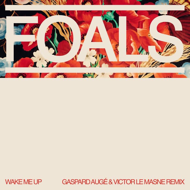 Wake Me Up (Gaspard Augé and Victor Le Masne Remix) cover