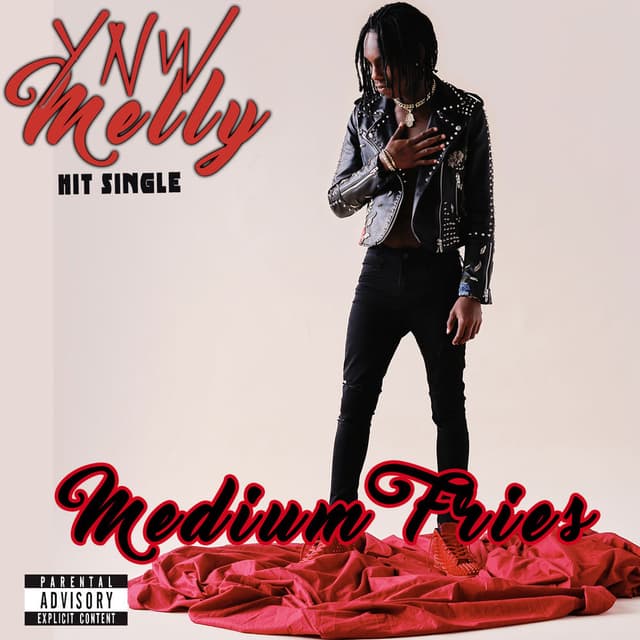 Medium Fries cover