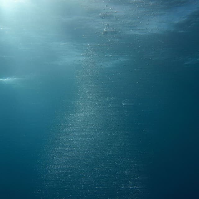 Pure Shores (Extended Mix) cover
