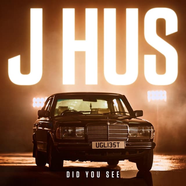 Did You See cover