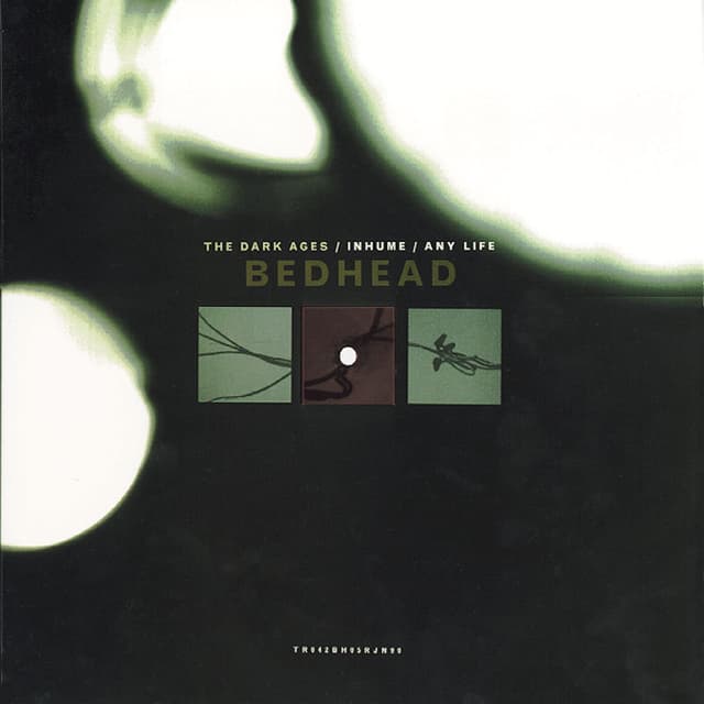 The Dark Ages cover