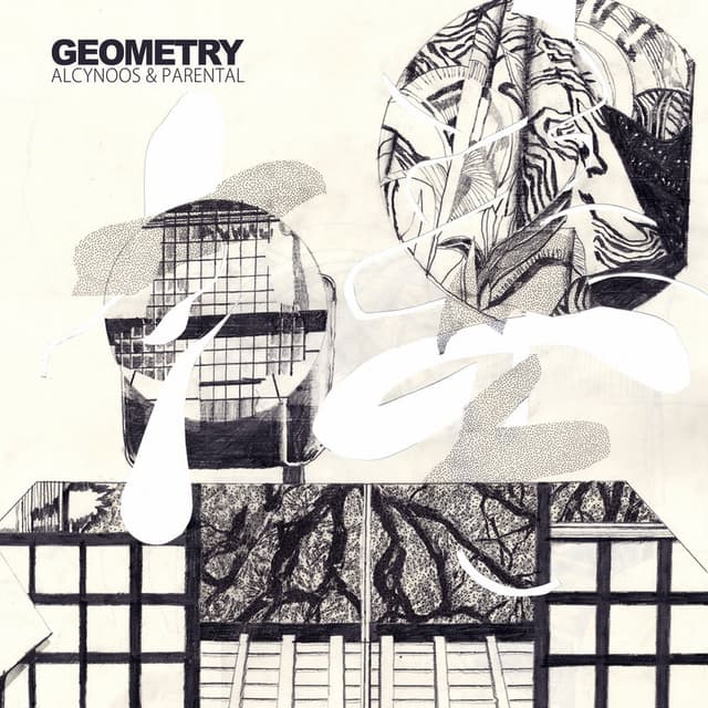 Geometry cover