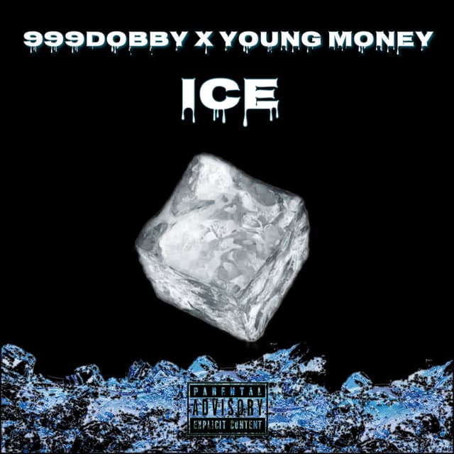 ICE cover
