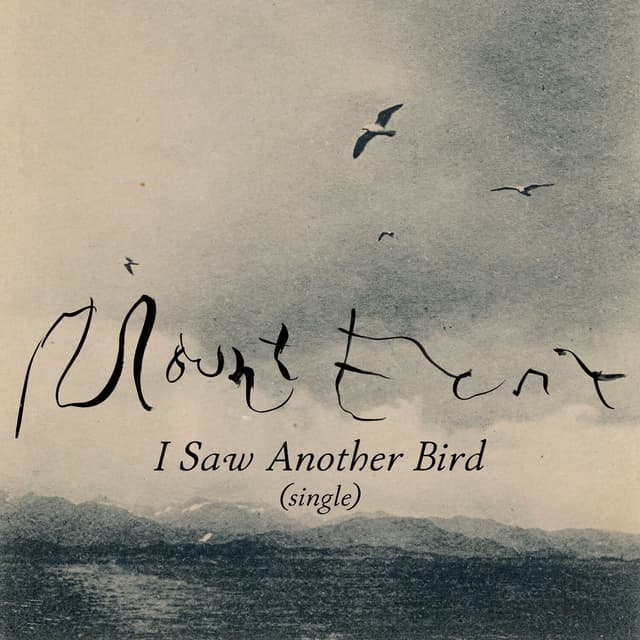 I Saw Another Bird cover
