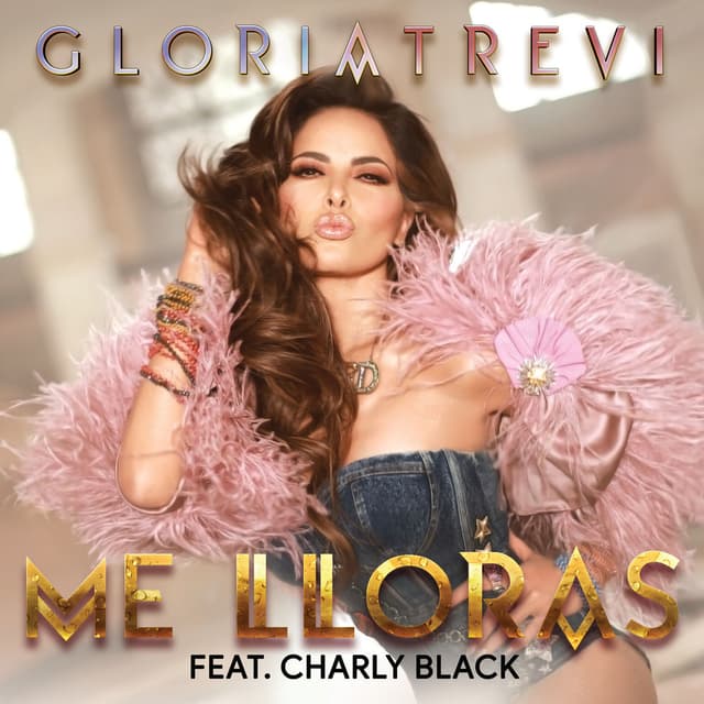 Me Lloras cover