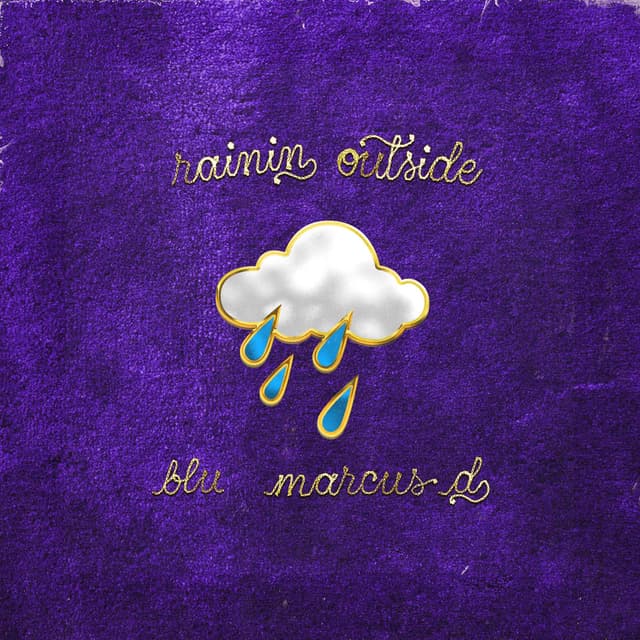 Rainin Outside cover