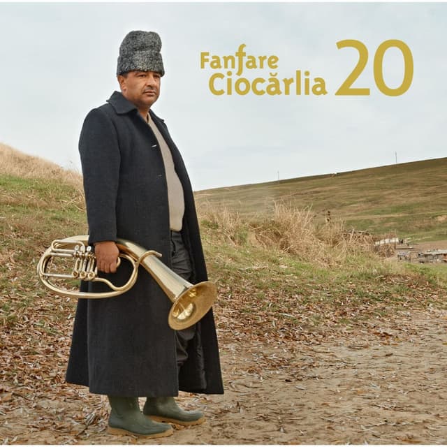 20 cover