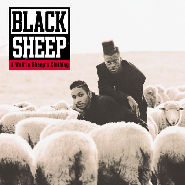 A Wolf In Sheep's Clothing cover