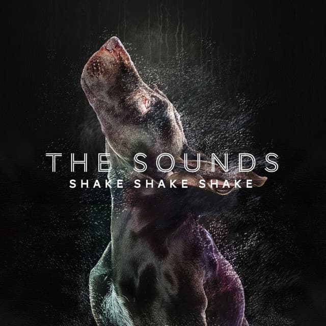 Shake Shake Shake cover