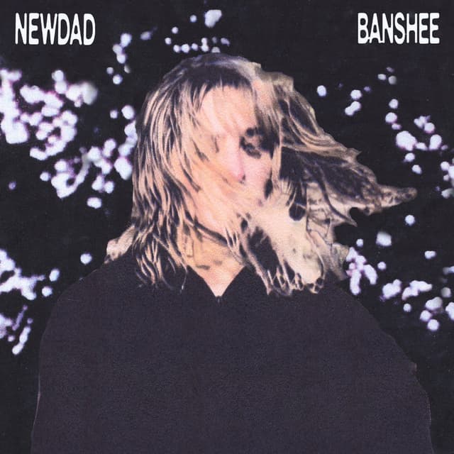 Banshee cover