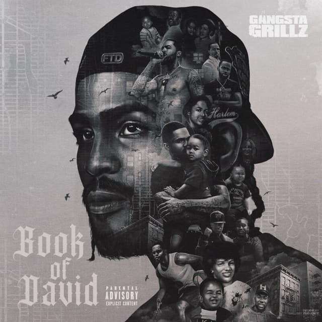 Book of David cover