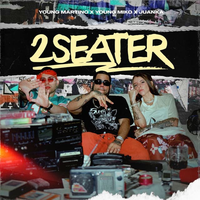 2seater cover