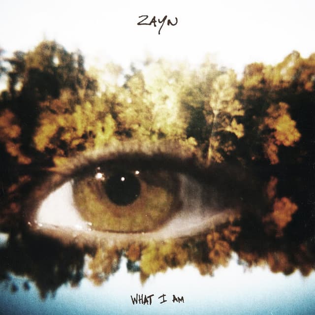 What I Am cover