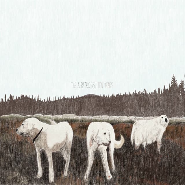 Rory cover