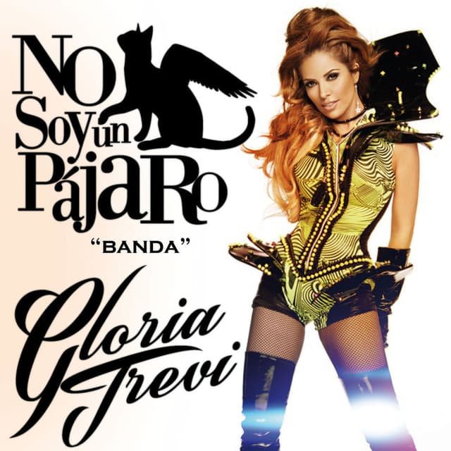 No Soy Un Pájaro (Banda) cover