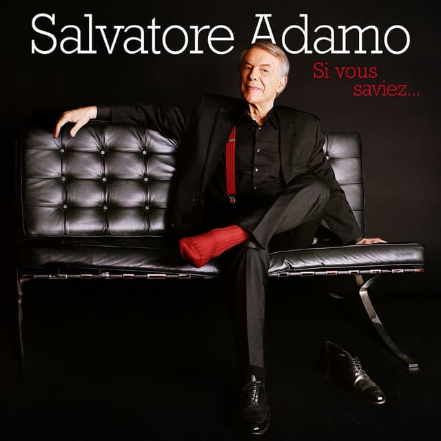 Si vous saviez... cover