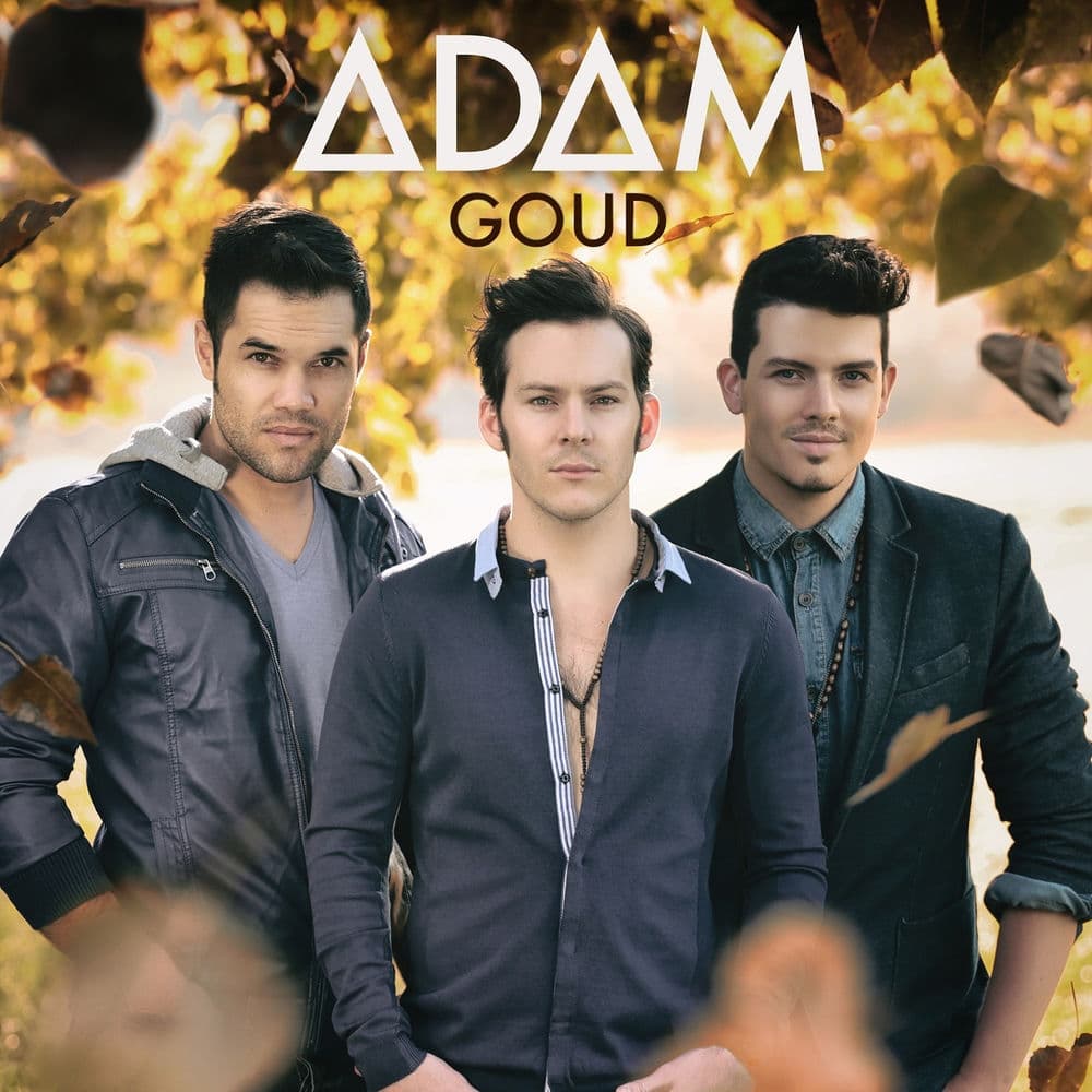 Goud cover