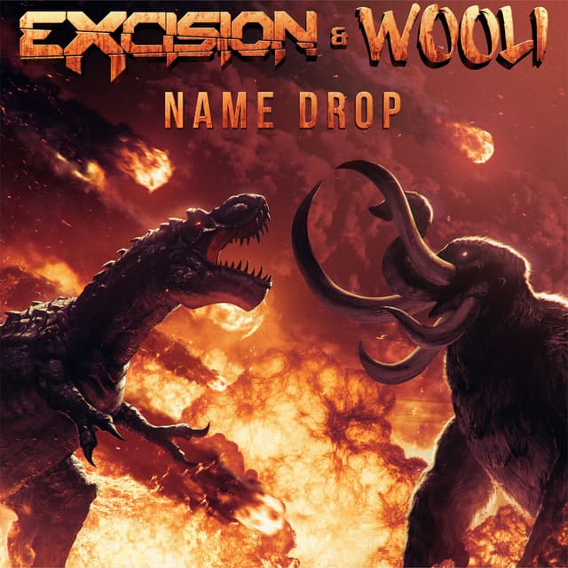 Name Drop cover