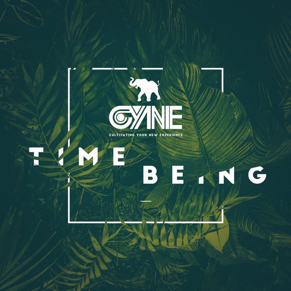 Time Being cover