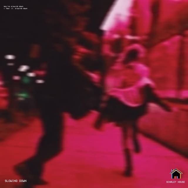 Slowing Down cover