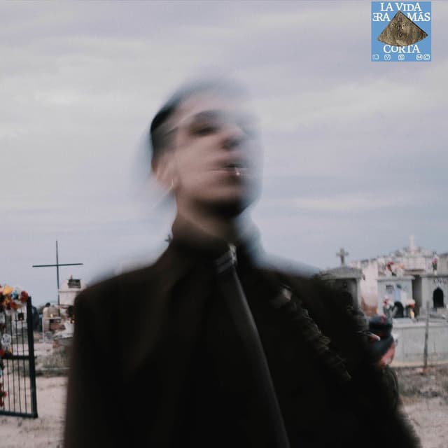 Bajo de la piel cover