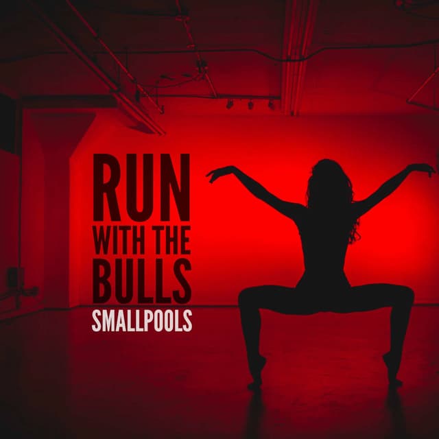 Run With The Bulls cover