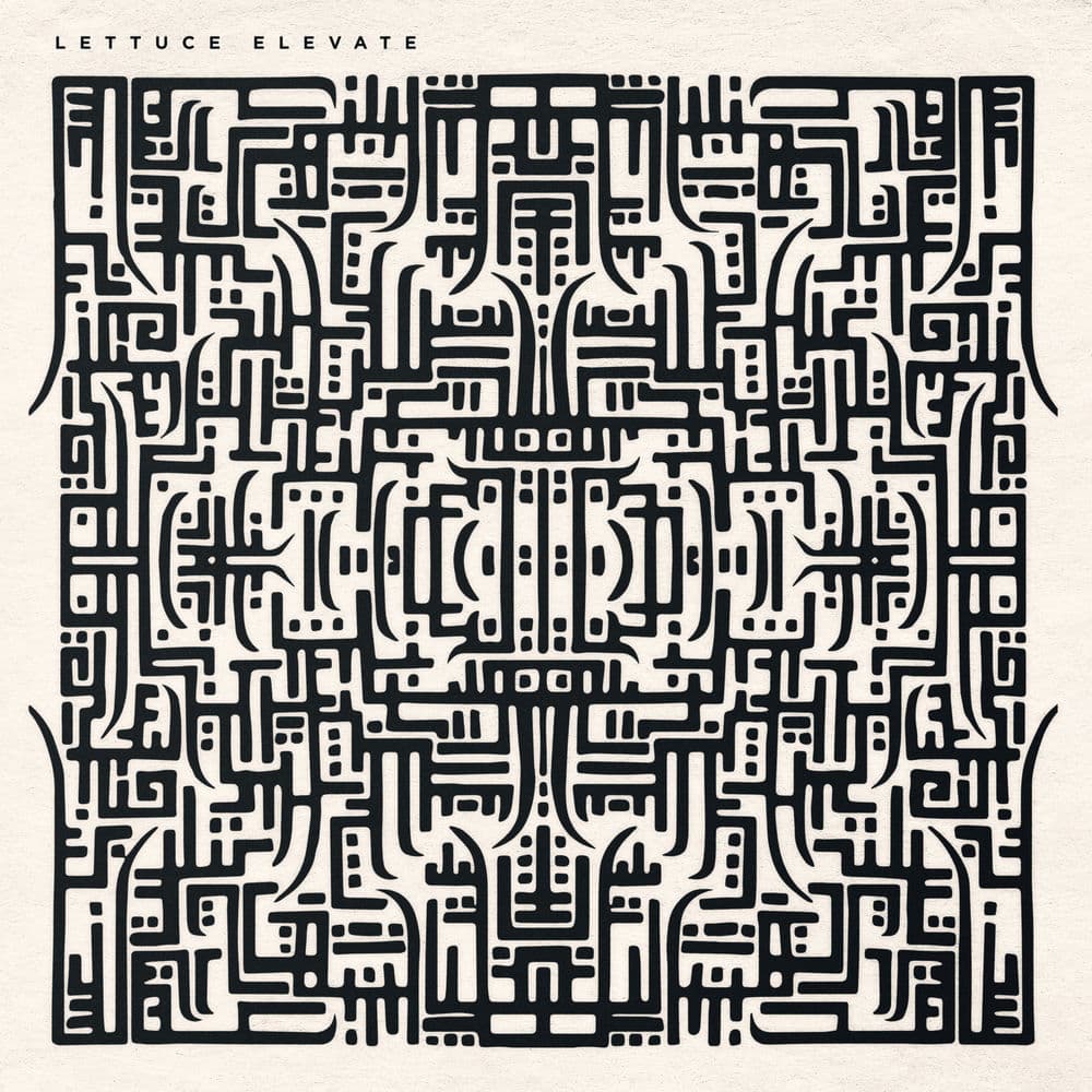 Elevate cover