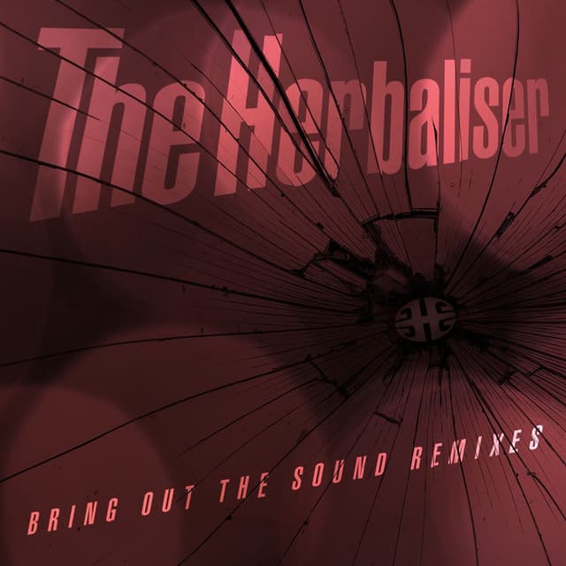 Bring out the Sound Remixes cover