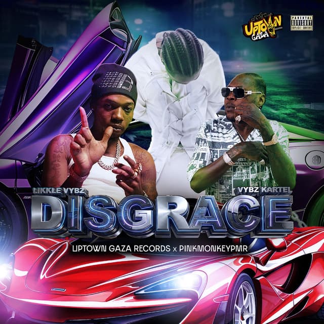 Disgrace cover