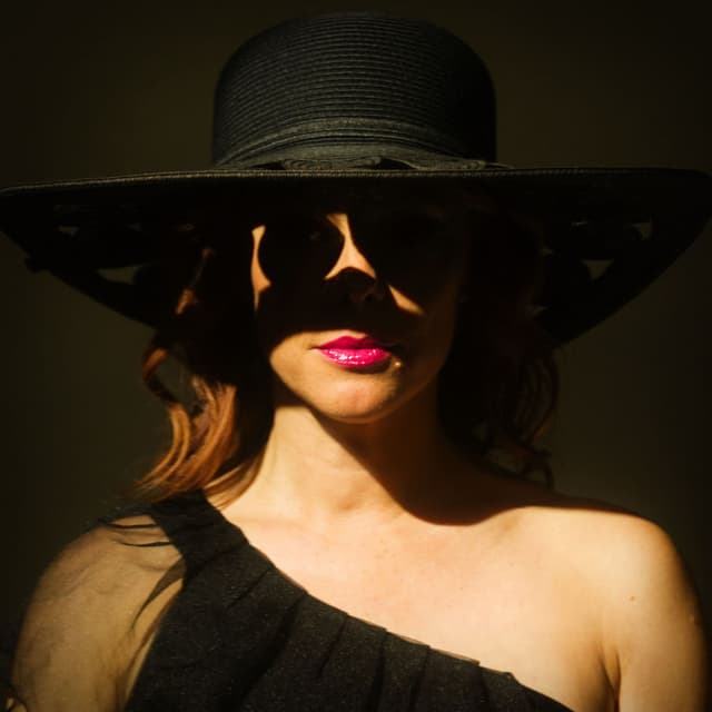 Silhouette cover