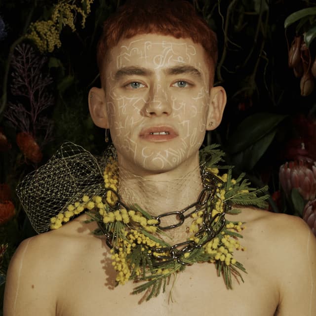 Palo Santo cover