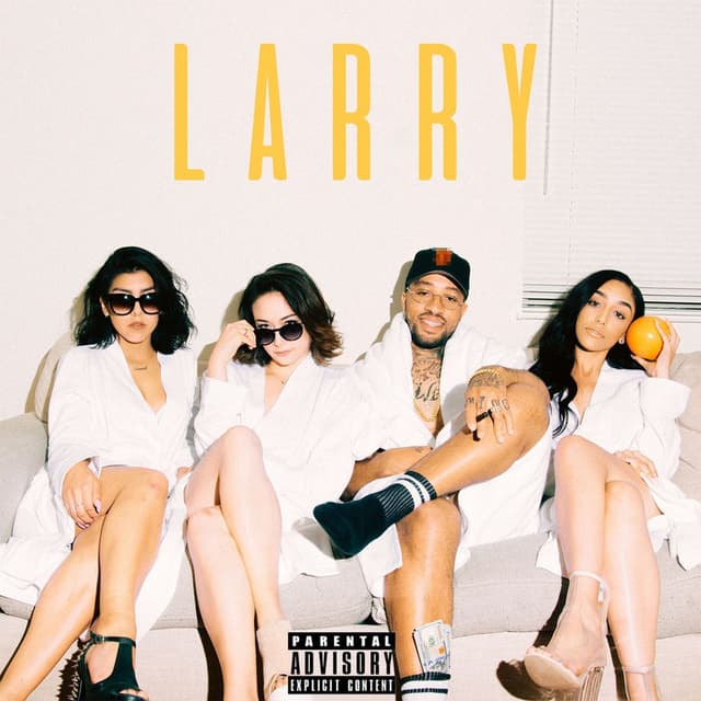 Larry cover