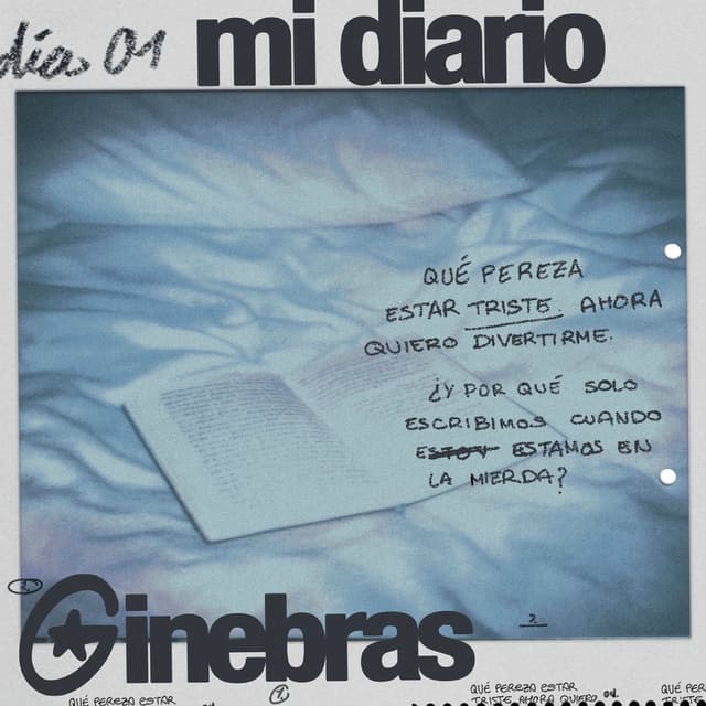 Mi diario cover