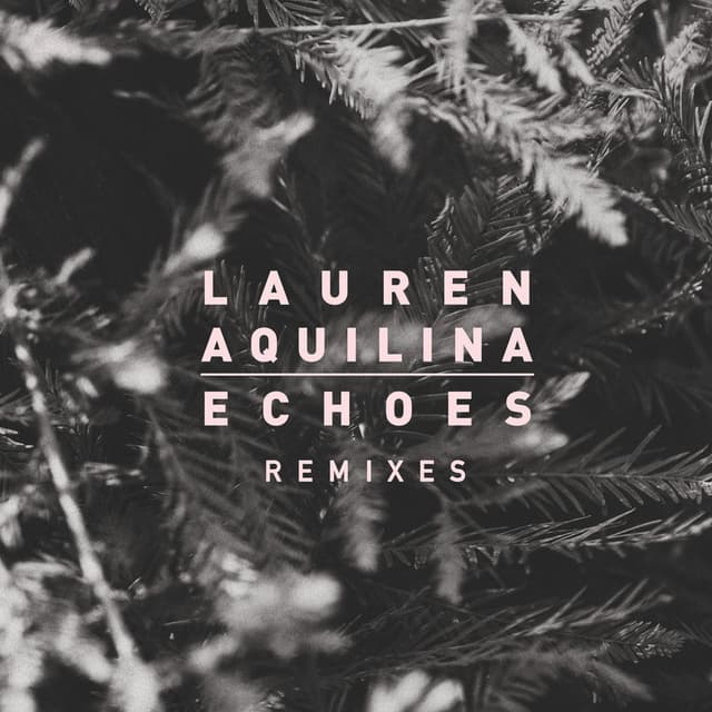 Echoes (Remixes) cover